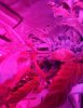 IMG_20120929_1300577.jpg