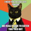 Stay_Late_Tonight_zps27bd798e.jpg