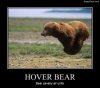 Hover_Bear_zpsada57a00.jpg