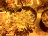 iPhone 10-16-12 031_cleaned.jpg