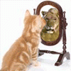 CatMirror_zps09a71469.gif