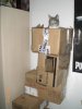 boxcat_zps034bb56e.jpg