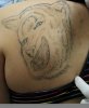 strange-animal-tattoo.jpg