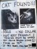 4552274158_possum_poster5B15D_xlarge.jpeg.jpg