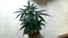 ArcSoft_Image92.jpg