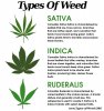 Types-Of-Weed-Leaf-and-Plant-Characteristics.jpg