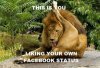95f12fed9e531ac881783170a22002b9-a-psa-on-liking-your-own-facebook-status.jpg