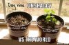 finshaggy-cannabis-expert-meme-generator-finshaggy-vs-the-world-a866b3.jpg