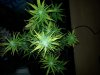 20130203_140559.jpg