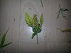 20130203_140614.jpg