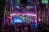 electric-forest.jpg