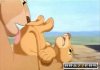 lion king brazzers.jpg