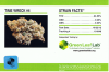 cannabis-gll-timewreck4-102212.png