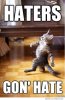 haters-gonna-hate-cat.jpg
