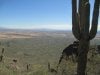 pIcACHo PeaK 2-13 019.jpg