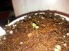 IMG_20130220_181341.jpg