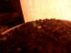 IMG_20130220_181358.jpg