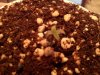 IMG_20130220_192154.jpg