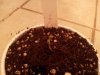IMG_20130220_192243.jpg