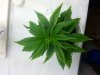 20130227_104241.jpg