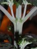 DSCN0028.JPG