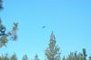 CRW_4945.jpg