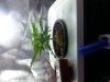 20130318_180518.jpg