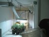 grow room 5.jpg