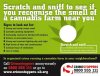 scratch-and-sniff-marijuana-cards-police.jpg