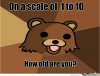 pedo-bear-on-a-scale-of-1-10.jpg