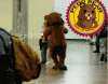 pedobear.gif