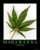 poster_marijuana.jpg