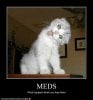 funny-pictures-meds.jpg