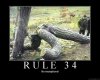 rule-34.jpg