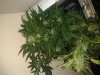 2013-04-16 18.06.39.jpg