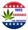 CANNABIS FOR PRESIDENT.jpg