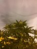 IMG_20130527_013012.jpg