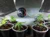 20130604_174842.jpg