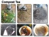 compost tea.jpg