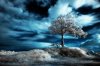 45-Impressive-Examples-of-Infrared-Photography-3.jpg
