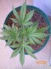 100_0583.jpg