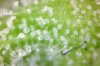 Trich-Photo-6-6-1_zpsa42fa6ac.jpg