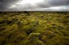 Iceland-pictures-88.jpg
