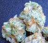 2009-05-og-kush-from-the-farmacy-05.jpg