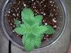 20130712_144021.jpg