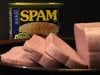 Spam+slice+and+can+v1.JPG