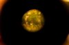 grow 016.jpg