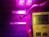 Apollo 4 LED grow ligt PAR 1568 at 30cm.jpg