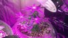 2013-09-23_16-55-21_938.jpg