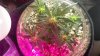 2013-09-23_16-56-56_175.jpg